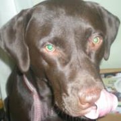 Marianne Pasciak Hensley