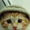 jihyeee