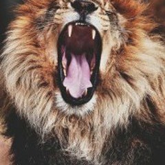 Luis Alberto Rivera 9