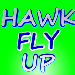hawk flyup
