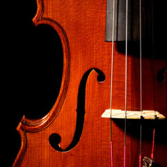 CHOPIN - Nocturne (For Violin And Piano)