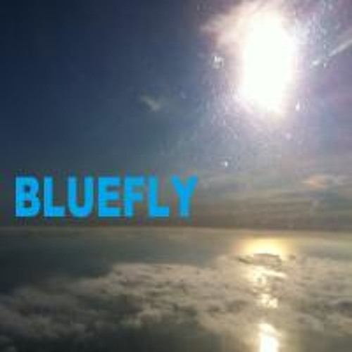 blueFly’s avatar