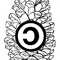 montenoso