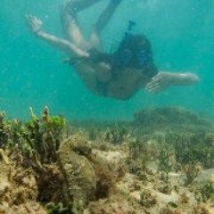 Almarosa Skates To Surf