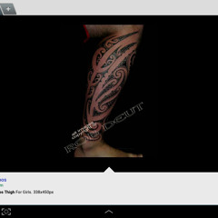 user488086445