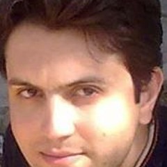 M Javad Jafari