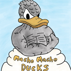 Macho-Macho-Ducks