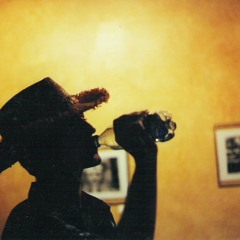 Thriftstorenorm - 05 - Let You Go (02)