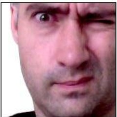 Dan Brickley