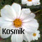 KOSMIK MOLOTOFF