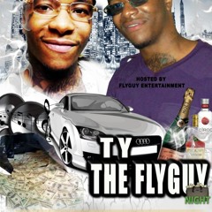 ty the flyguy