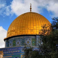 mohamedhhhm
