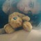 Thais Pompeu