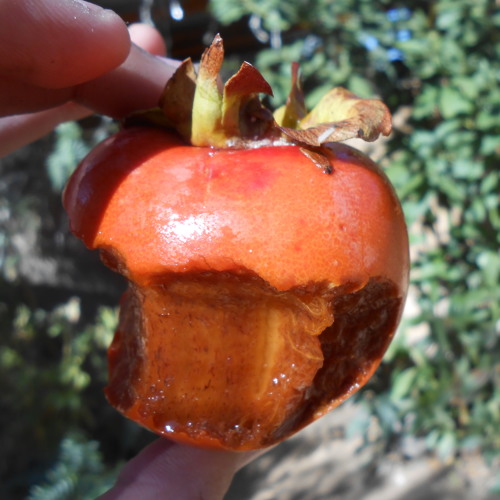 Serú Girán - La Grasa de Las Capitales