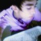 lil_ice