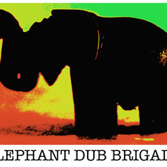 Elephant Dub Brigade