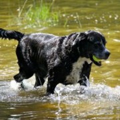 Natasha Dee Buckeridge