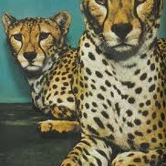 "You Can't Have It"  Stargaze