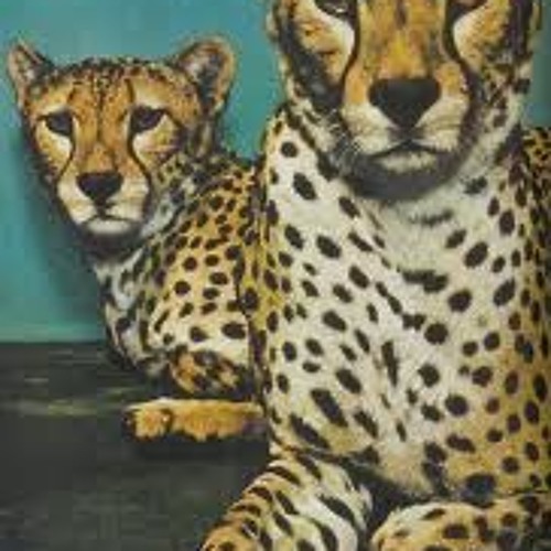 "You Can't Have It"  Stargaze