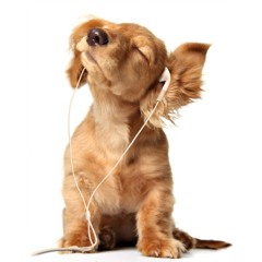 Instrumental