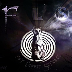 Florian-FLS