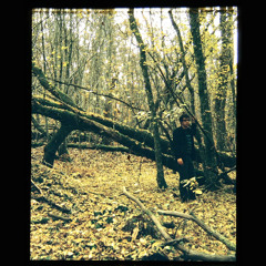 Agustin Barrios Mangoré - El sueno de la muneca