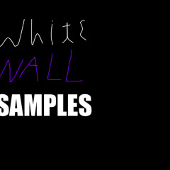 White Wall Samples