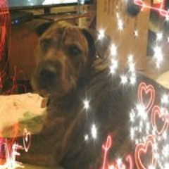 Jennifer Helfer-Lerma