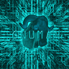 NUMBERS STATIONS/GNUMAN