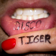 DiscoTiger