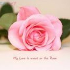 Fatimah Alawi Shubbar