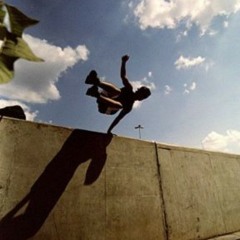 elusivefreerunnerssociety