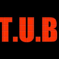 T.U.B. RECORDS L.L.C.