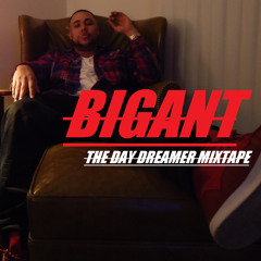 BIGANT_Hustlepapi