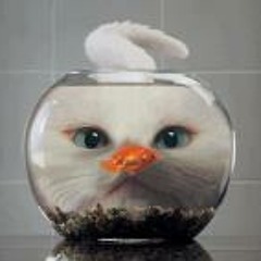 Silvia Castrejon Vazquez