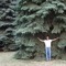 Andrey Belousov 2