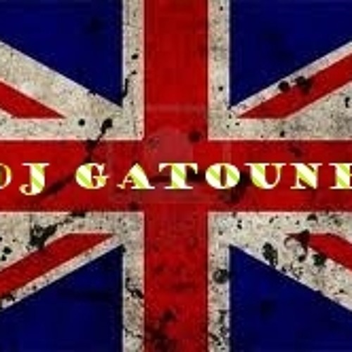 Stream DJ Gatoune Remix Levels (Skrillex Version) by DJ_Gatoune