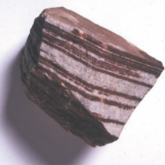 My Conscience Jailed