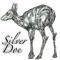 Silver Doe