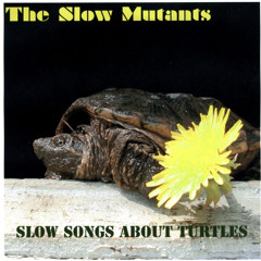 The Slow Mutants
