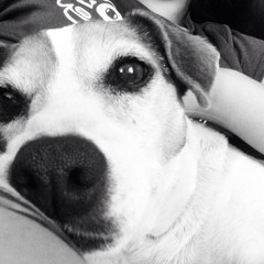 mimiweezy