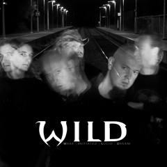 W.I.L.D official band