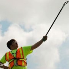 Thomas Donald Basini