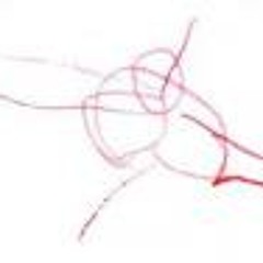 fringillus