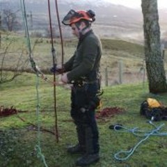 Max Milligan Tree Care