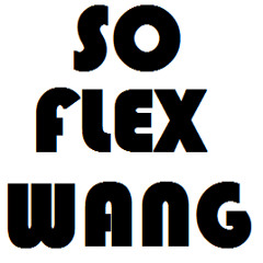 flexwang universe