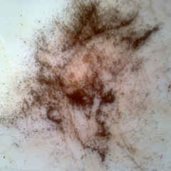 mike,mick,mickey,seymour