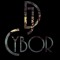 Dj CyBor