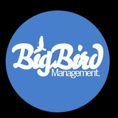 Big Bird Management