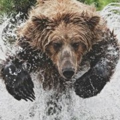 Shannon Granigan- Demuth